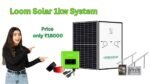 Loom Solar 1kW On-Grid System