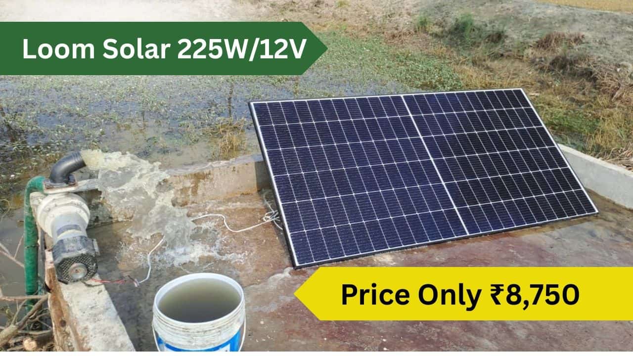 Loom solar 225w at Just rs 8750