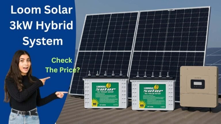 Loom Solar 3kW Hybrid System
